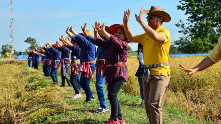 Jasmine Rice: Thailand’s Honorable Grain - Thailand Foundation