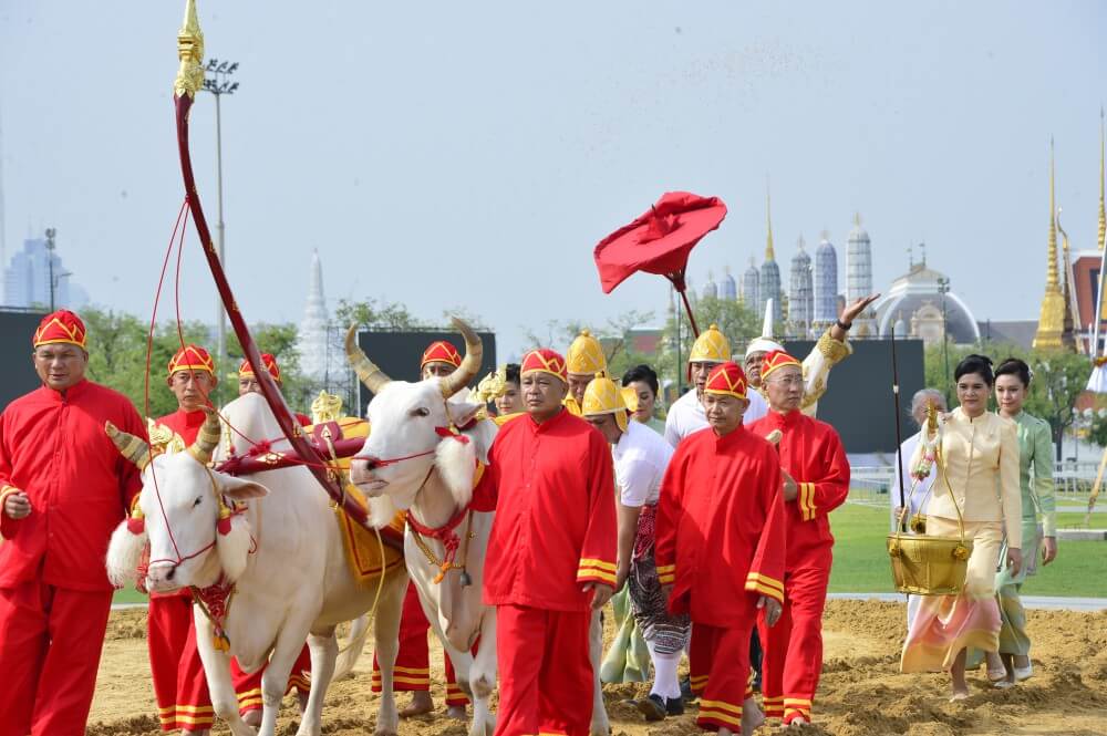 The Royal Ploughing Ceremony – Thailand Foundation